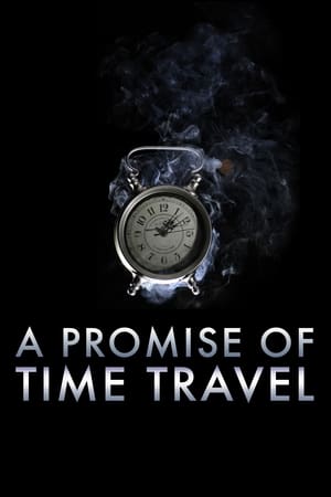A Promise of Time Travel 2016 Hindi Dual Audio [750MB] - Movierulz