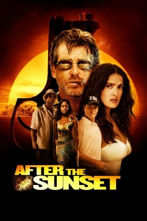 After The Sunset (2004) Hindi Dual Audio 320MB - Movierulz