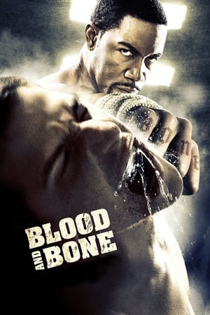Blood and Bone (2009) Hindi Dual Audio 300MB - Movierulz