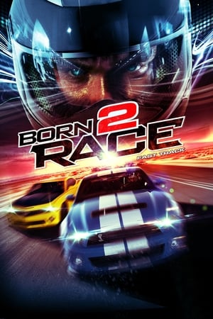 Born to Race Fast Track 2014 Hindi Dual Audio [840MB] - Movierulz