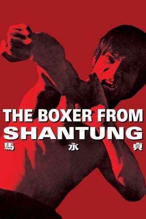 Boxer from Shantung (1972) Hindi Dual Audio [1.2GB] - Movierulz