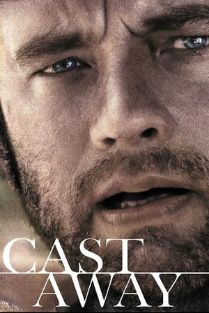 Cast Away 2000 Hindi Dual Audio [1GB] ESubs - Movierulz