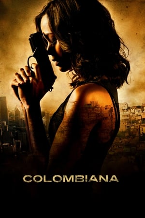 Colombiana (2011) Hindi Dual Audio [1.1GB] - Movierulz