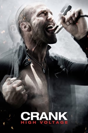 Crank: High Voltage (2009) Hindi Dual Audio [1GB] - Movierulz