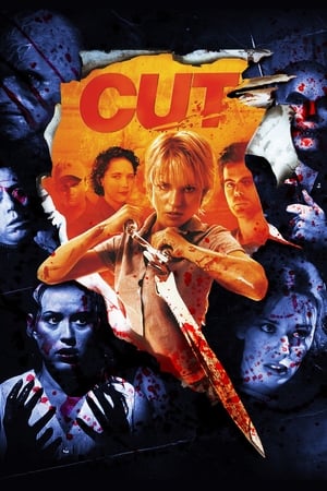 Cut (2000) Hindi Dual Audio [1.1GB] - Movierulz