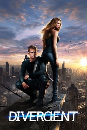 Divergent (2014) Hindi Dual Audio 450MB - Movierulz