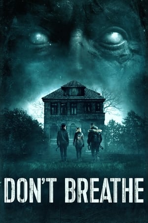 Don't Breathe (2016) Hindi Dual Audio [850MB] - Movierulz
