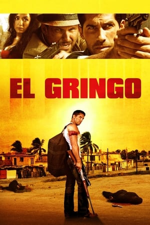 El Gringo (2012) Hindi Dual Audio 300MB - Movierulz