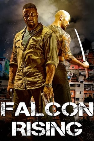 Falcon Rising (2014) Hindi Dual Audio 300MB - Movierulz