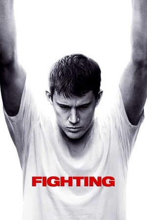 Fighting (2009) 100mb Hindi Dual Audio Download