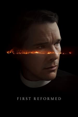 First Reformed 2017 Hindi Dual Audio [990MB] - Movierulz