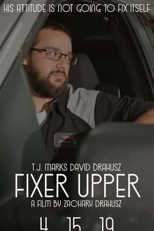 Fixer Upper (2019) Hindi Dual Audio [1.2GB] - Movierulz