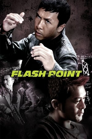 Flash Point (2007) Hindi Dual Audio [1GB] - Movierulz