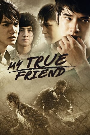 Friends Never Die (2012) Hindi dual Audio 340MB - Movierulz