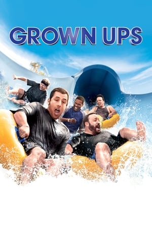 Grown Ups (2010) Hindi Dual Audio 300MB - Movierulz