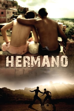 Hermano 2010 Hindi Dual Audio 300MB - Movierulz