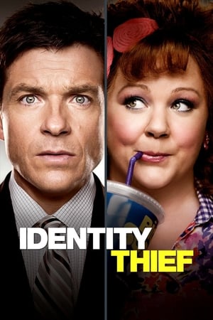 Identity Thief (2013) Hindi Dual Audio 350MB - Movierulz