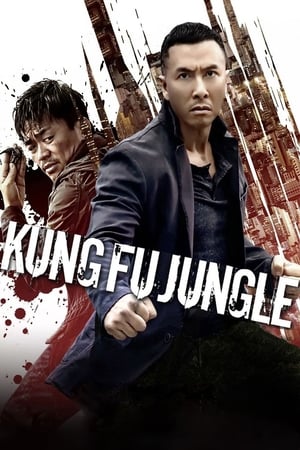 Kung Fu Jungle (2014) Hindi Dual Audio 300MB - Movierulz
