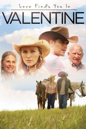 Love Finds You in Valentine (2016) Hindi Dual Audio 300MB - Movierulz