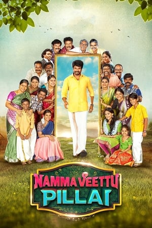 Namma Veettu Pillai (2019) (Hindi -Tamil) Dual Audio [1.4GB] - Movierulz