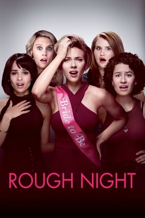 Rough Night (2017) Hindi Dual Audio 400MB - Movierulz
