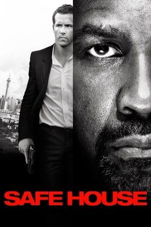 Safe House (2012) Hindi Dual Audio – - Movierulz
