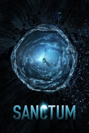Sanctum (2011) Hindi Dual Audio [800MB] - Movierulz