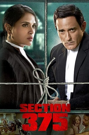 Section 375 (2019) Hindi Movie - [360MB] - Movierulz