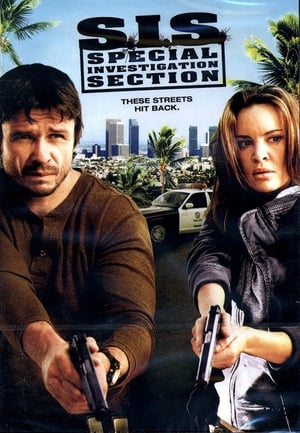 SIS Special Investigation Section 2008 Hindi Dual Audio [1.1GB] - Movierulz