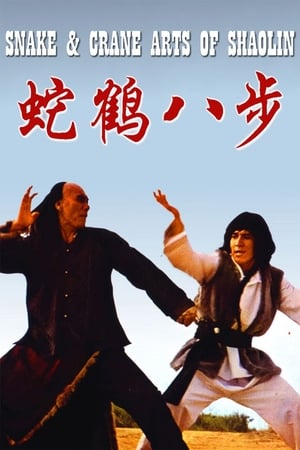 Snake and Crane Arts of Shaolin 1978 Hindi Dual Audio 300MB - Movierulz