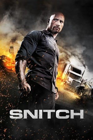 Snitch (2013) Hindi Dual Audio 350MB - Movierulz