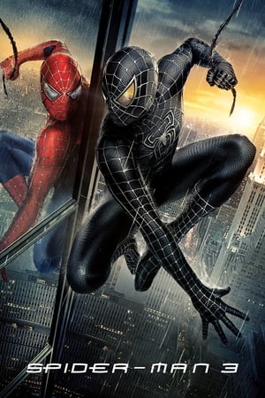 Spider-Man 3 (2007) Movie Hindi Dual Audio [800MB]