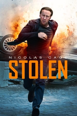 Stolen (2012) Hindi Dual Audio 300MB ESubs - Movierulz