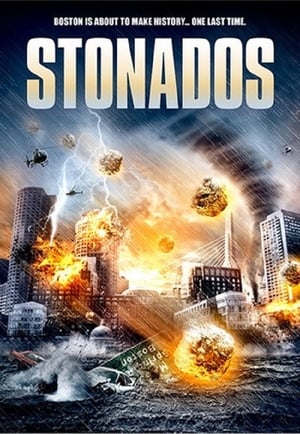 Stonados (2013) Hindi Dual Audio 300MB - Movierulz