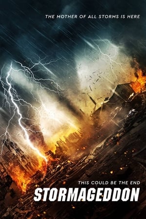Stormageddon (2015) Hindi Dual Audio [1.1GB] - Movierulz