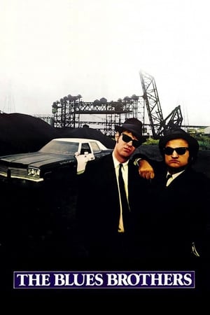 The Blues Brothers (1980) Hindi Dual Audio 450MB ESubs - Movierulz