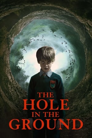 The Hole in the Ground 2019 Hindi Dual Audio [830MB] - Movierulz