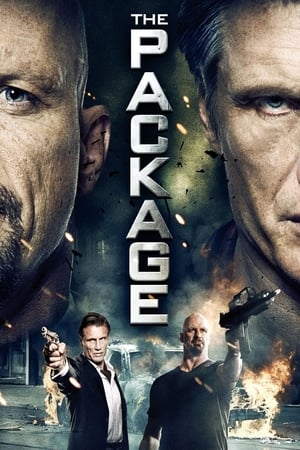 The Package (2013) Hindi Dual Audio [750MB] - Movierulz