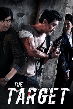 The Target (2014) Hindi Dual Audio 300MB - Movierulz