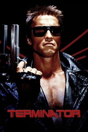 The Terminator (1984) Hindi Dual Audio [800MB] - Movierulz