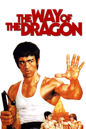 The Way of the Dragon (1972) Hindi Dual Audio [940MB] - Movierulz