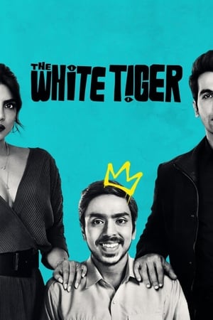 The White Tiger (2021) Hindi Movie [990MB] - Movierulz