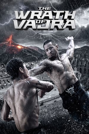 The Wrath of Vajra (2013) Hindi Dual Audio 350MB - Movierulz