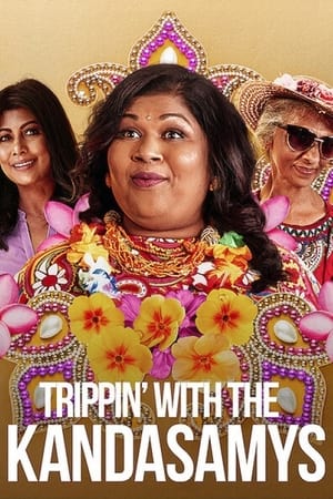 Trippin with the Kandasamys 2021 Hindi Dual Audio [850MB] - Movierulz