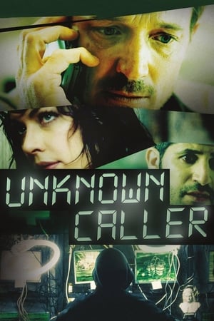 Unknown Caller 2014 Hindi Dual Audio 300MB ESubs - Movierulz
