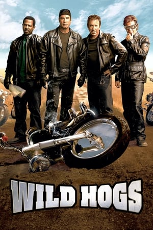 Wild Hogs (2007) Hindi Dual Audio [750MB] - Movierulz