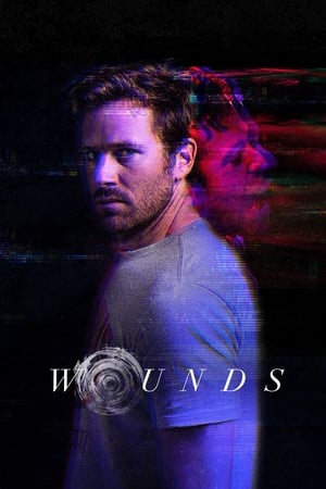 Wounds (2019) Hindi Dual Audio [930MB]