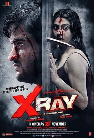 X Ray The Inner Image 2019 Hindi Movie [900MB] - Movierulz