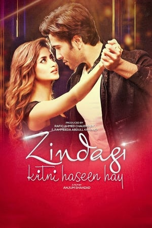 Zindagi Kitni Haseen Hay (2016) Pakistani Movie [980MB] - Movierulz